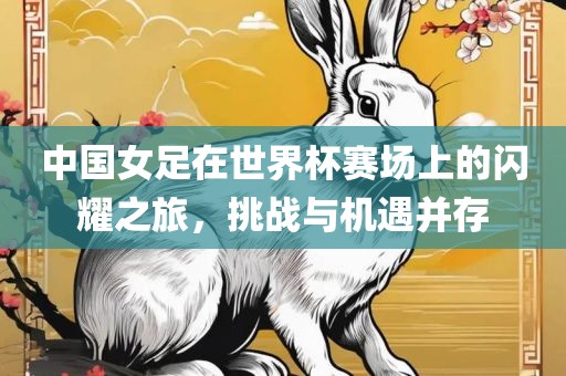中国女足在世界杯赛场上的闪耀之旅，挑战与机遇并存