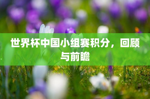 世界杯中国小组赛积分，回顾与前金炬实业股份有限公司瞻