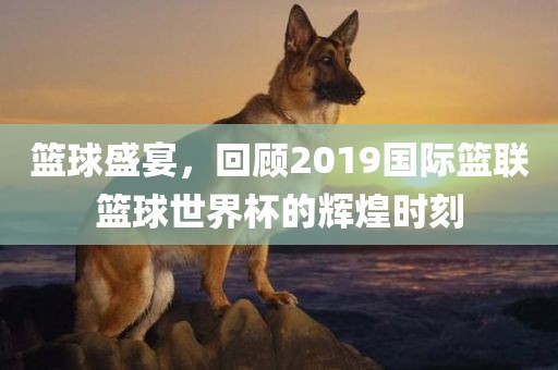 篮球盛宴，回顾2019国际篮联篮球世界杯的辉煌时刻