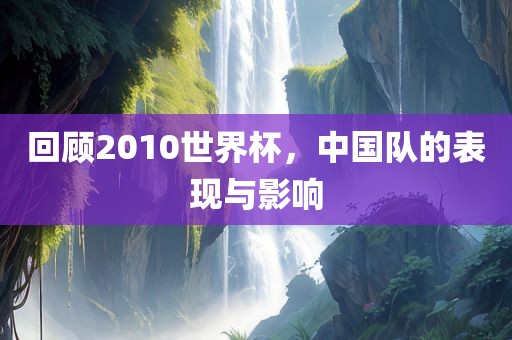 回顾2010世界杯，中国队的表现与影响金炬实业股份有限公司