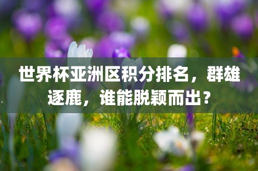 金炬实业股份有限公司世界杯亚洲区积分排名，群雄逐鹿，谁能脱颖而出？