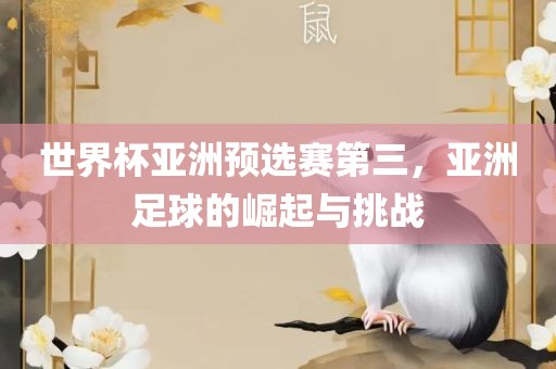 世界杯亚洲预选赛第三，亚洲足球的崛起与挑战