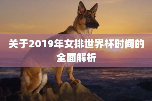 关于2019年女金炬实业股份有限公司排世界杯时间的全面解析