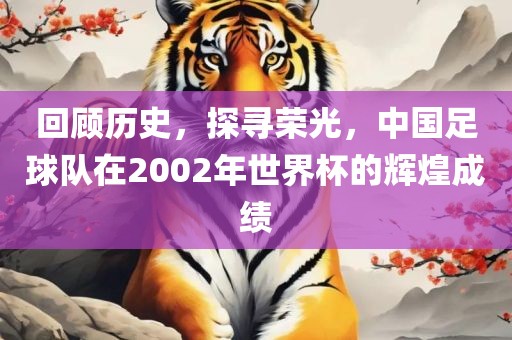 回顾历史，探寻荣光，中国足球队在2002年世界杯的辉煌成绩金炬实业股份有限公司