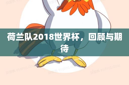 荷兰队2018世界杯，回顾与期待
