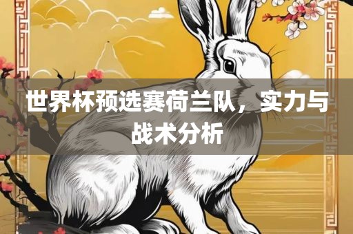 世界杯预选赛荷兰队，实力与战术分析