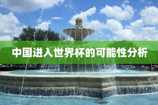 中国进入世界杯