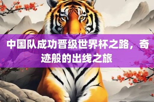 中国队成功晋级世界杯之路，奇迹般的出线之旅
