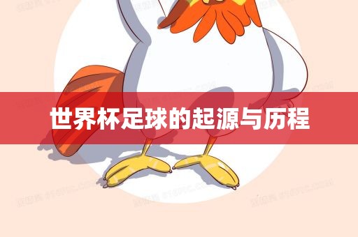 世界杯足球的起源与历程金炬实业股份有限公司
