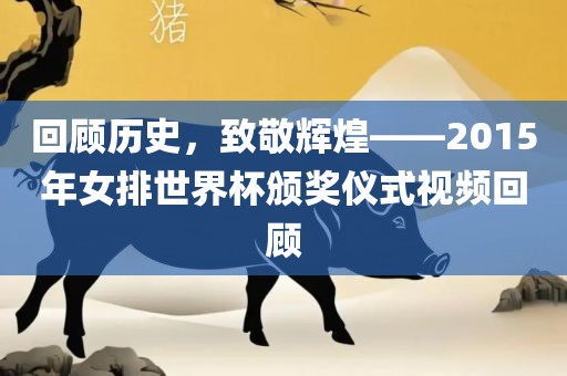 回顾历史，致敬辉煌——2015年女排世界杯颁奖仪式视频回顾