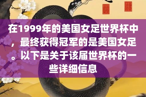 1999年美国女足世界杯