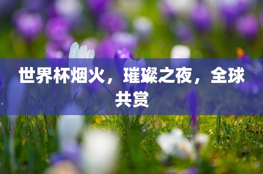 世界杯烟火，璀璨之夜，全球共赏