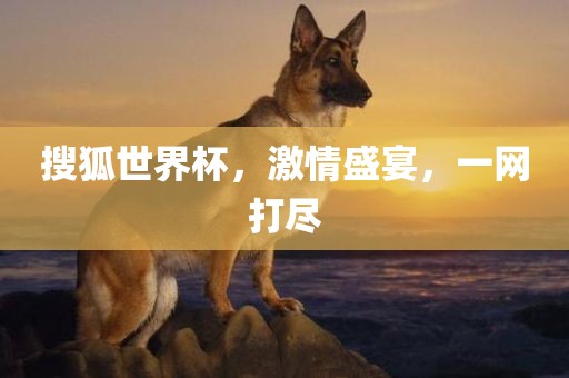 搜狐世界杯，激情盛宴，一网打尽