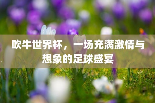 吹牛世界杯，一场充金炬实业股份有限公司满激情与想象的足球盛宴