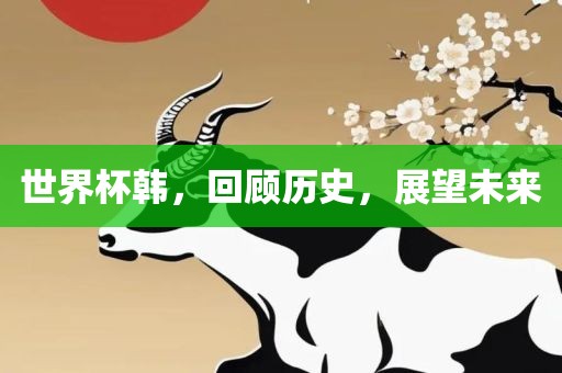 世界杯韩，回顾历史，展望未来