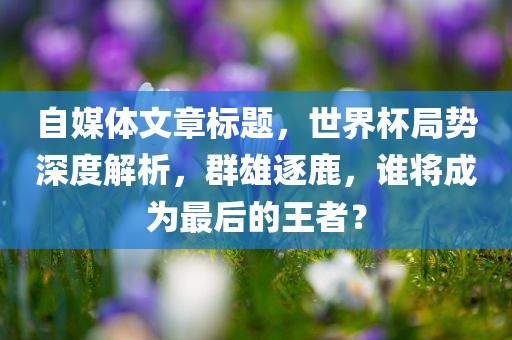 自媒体文章标题，世界杯局势深度解析，群雄逐鹿，谁将成为最后的王者？