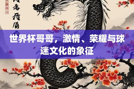 世界杯哥哥，激情、荣耀与球迷文化的象征