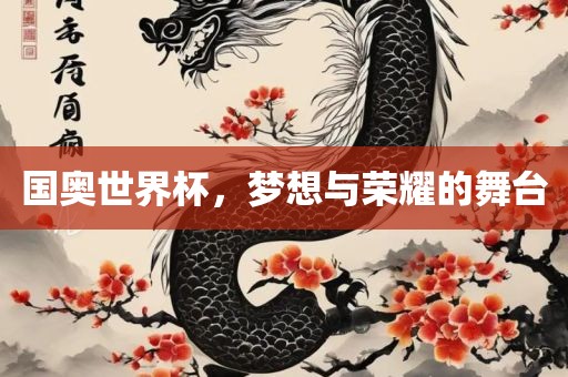 国奥世界杯，梦想与荣耀的舞台