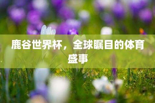 鹿谷世界杯，全球瞩目的体育盛事