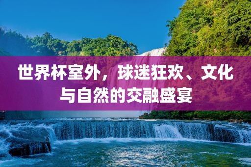 世界杯室外狂欢