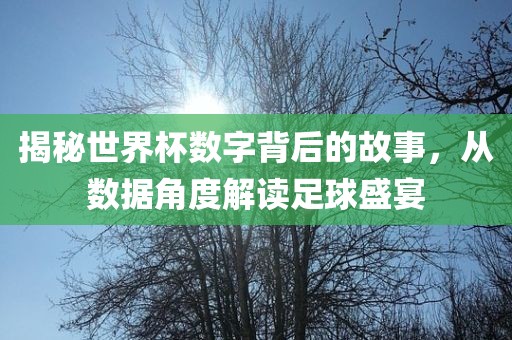 揭秘世界杯数字背后的故事，从数据角度解读足球盛宴金炬实业股份有限公司