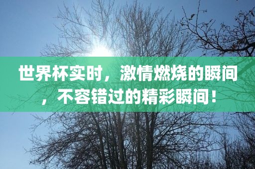 世界杯实时，激情燃烧的瞬间，不容错过的精彩瞬间！