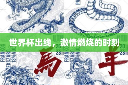 世界杯出线，激情燃烧的时刻
