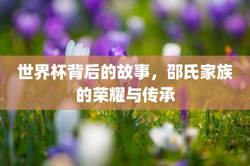 世界杯背后的故事，邵氏家族的荣耀与传承