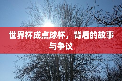 金炬实业股份有限公司世界杯成点球杯，背后的故事与争议