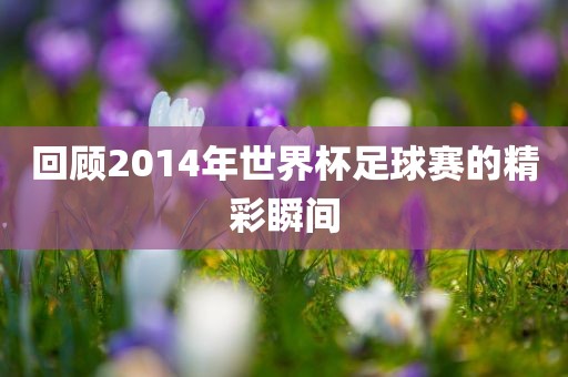 回顾2014年世界杯足球赛的精彩瞬间金炬实业股份有限公司