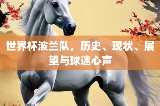 世界杯波兰队，历史、现状、展望与球迷心声