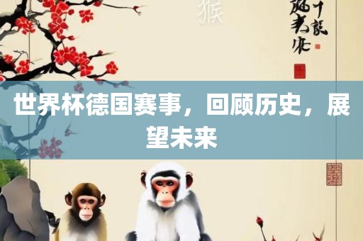 世界杯德国赛事，回顾历史，展望未来金炬实业股份有限公司