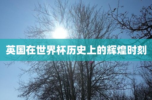 英国在世界杯历史上的辉煌时刻
