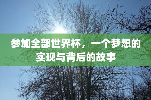 参加全部世界杯，一个金炬实业股份有限公司梦想的实现与背后的故事