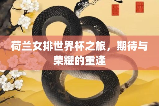 荷兰女排世界杯之旅，期待与荣耀的重逢金炬实业股份有限公司