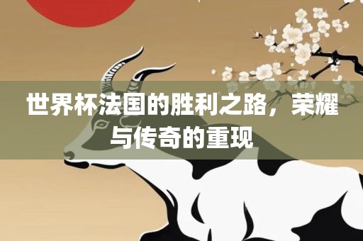 世界杯法国的胜利之路，荣耀与传奇的重现