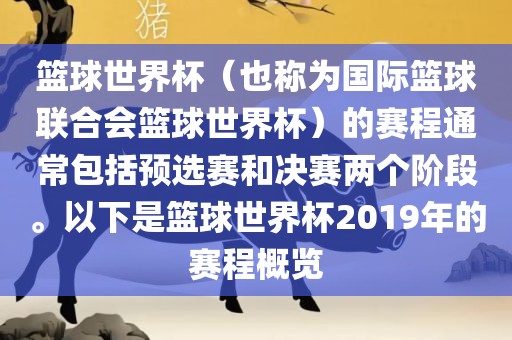 赛程概览