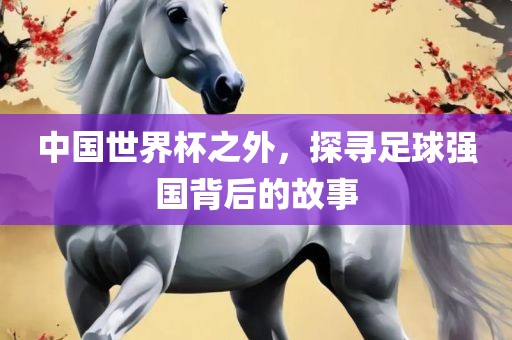 中国世界杯之外，探寻足球强国背后的故事金炬实业股份有限公司