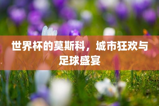 世界杯的莫斯科，城市狂欢与足球盛宴金炬实业股份有限公司