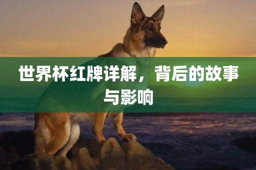 世界金炬实业股份有限公司杯红牌详解，背后的故事与影响