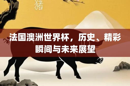 法国澳洲世界杯，历史、精彩瞬间与未来展望金炬实业股份有限公司