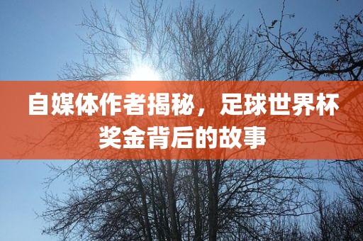 自媒体作者揭秘，足球世界杯奖金背后的故事