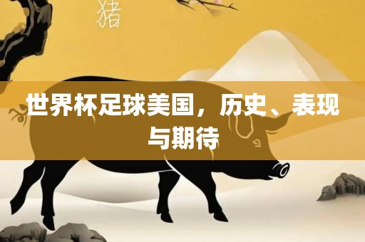 世界杯足球美国，历史、表现与期待