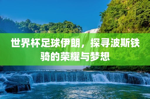 世界杯足球伊朗，探寻波斯铁骑的荣耀与梦想金炬实业股份有限公司