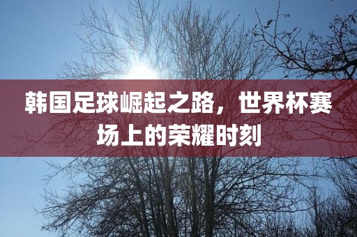 韩国足球崛起之路，世界杯赛场上的荣耀时刻金炬实业股份有限公司