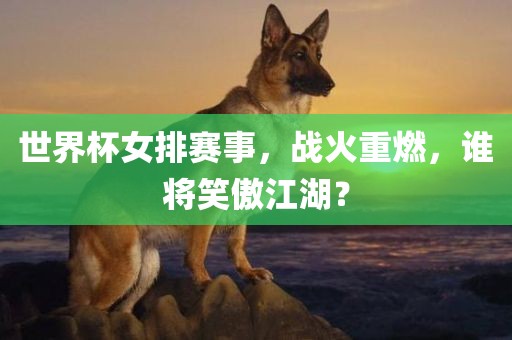 世界杯女排赛事，战火重燃，谁将笑傲江湖？