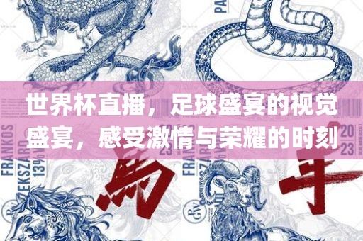 世界杯直播，足球盛宴的视觉盛宴，感受激情与荣耀的时刻金炬实业股份有限公司