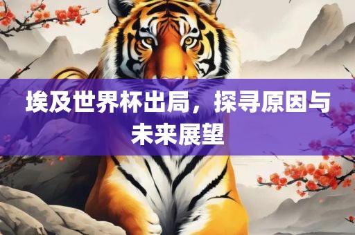 埃及世界杯出局，探寻原因与未来展望金炬实业股份有限公司