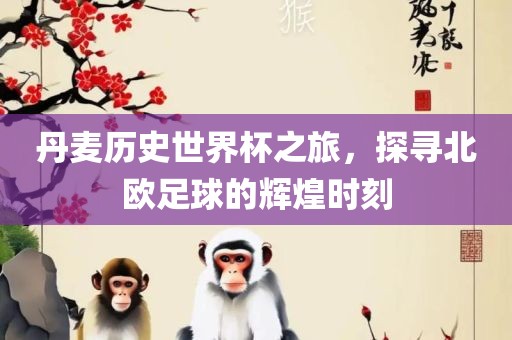 丹麦历史世界杯之旅，探寻北欧足球的辉煌时刻金炬实业股份有限公司