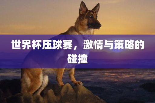 世界杯压球赛，激情与策略的碰撞